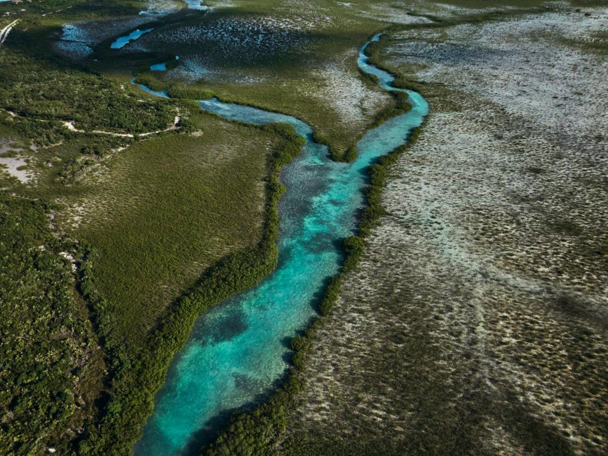 Como Parrot Cay Sandy Point Экстерьер фото